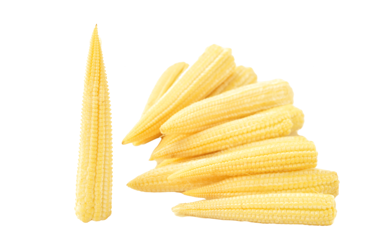 Baby Corn मक्का दाना