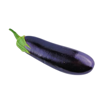 Brinjal Long बैंगन