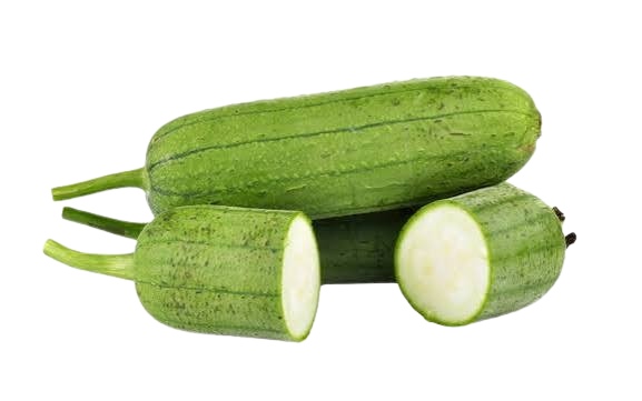 Sponge Gourd