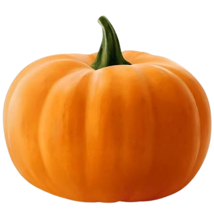 Pumpkin कद्दू/सीताफल