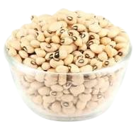 Lobia