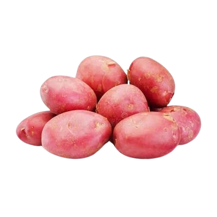 Red Potato  ( लाल आलू)